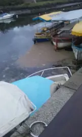 verquido2