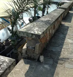 Peirao co cachote ca&iacute;do e a canteir&iacute;a solta