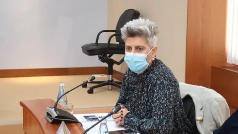 Mercedes Queixas &eacute; deputada do BNG no Parlamento galego
