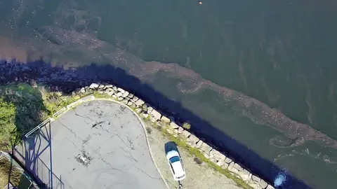 verquido