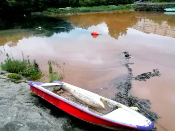 Imaxe do vertido