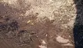 O BNG leva ao Pleno o verquido de fecais na estrada de Santiago