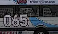 O BNG reclamará no Pleno a continuidade do servizo de transporte adaptado 065