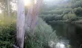 O BNG mostrouse contrario ao proxecto do PSOE para o camiño a carón do Mandeo