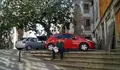 Pedimos no Pleno un programa de coidados específicos para o magnolio centenario de Lanzós