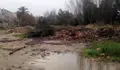 O BNG reclama a limpeza do entorno da área de autocaravanas