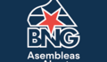 O BNG-Asembleas abertas votará por si mesmo no Pleno de investidura
