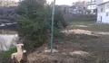 Denunciamos unha tala no trazado do paseo do Mandeo, nos Ánxeles