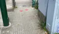 O BNG demandou no Pleno a sinalización de camiños seguros escolares