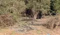 O BNG demandou ao goberno local que poña fin aos verquidos nas Hortas da Cañota