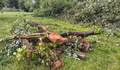 O BNG solicita explicacións pola tala masiva de arboredo na beira do Mendo