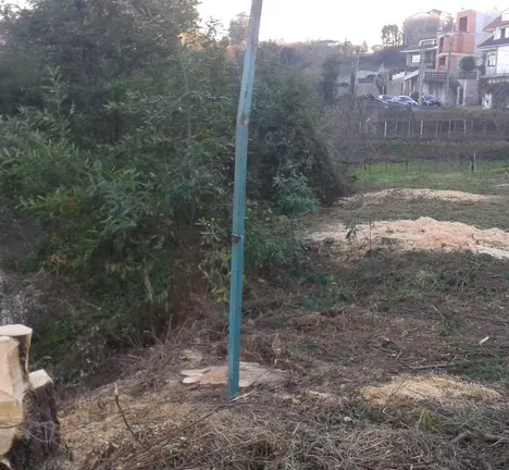 Imaxe da tala &aacute; beira do Mandeo