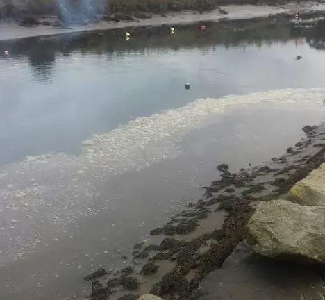 verquido1