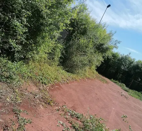 Unha vista da pista a medio desbrozar