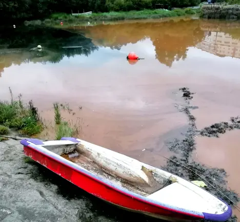 Imaxe do vertido